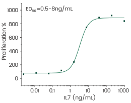 Cell proliferation assay using anti-CD3 antibody activated human peripheral blood mononuclear cell (PBMC).