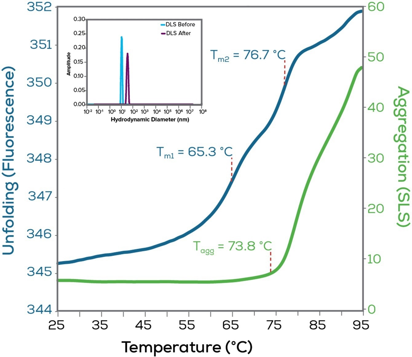 Discover Uncle—An all-in-one screening platform