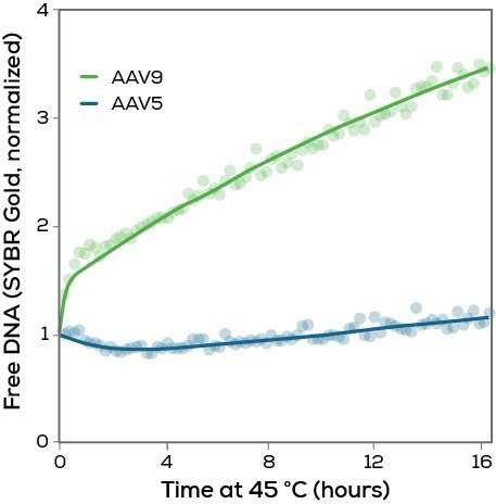 Discover Uncle—An all-in-one screening platform