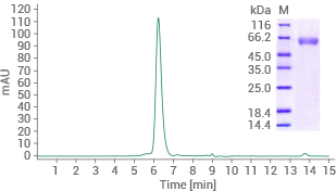 Purity ≥ 95% (SEC-HPLC).
