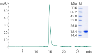 Purity ≥ 95% (SEC-HPLC).