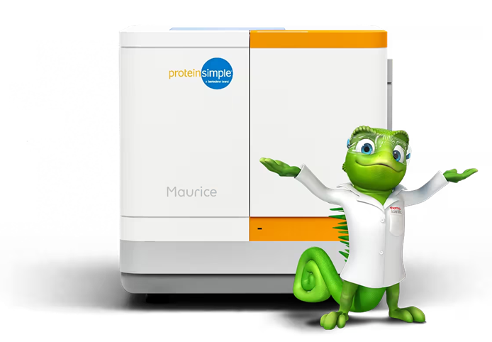 Maurice Chromeleon Driver Kit