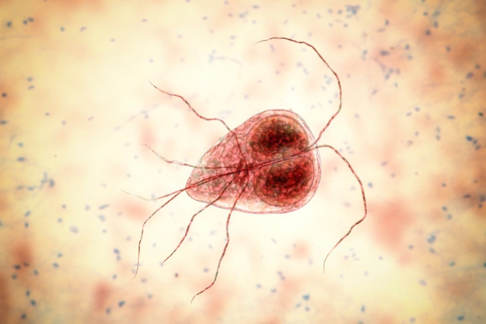 Advanced magnet technology - Ascend NMR magnets