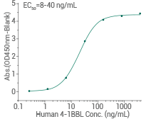 ELISA: Immobilized human 4-1BB-His protein can bind human 4-1BBL-hFc protein (Cat#: 15693-H01H).