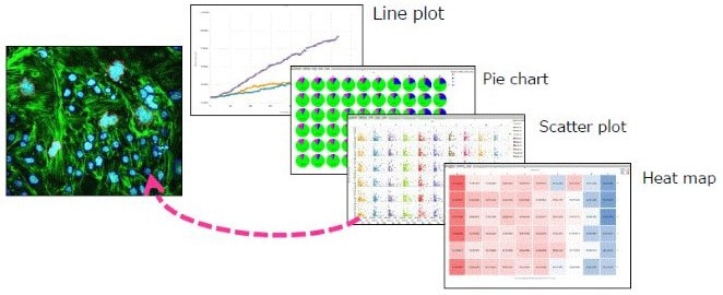 Optimizing cell imaging processes with CellPathfinder