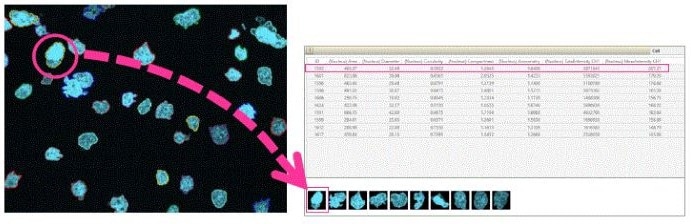 Optimizing cell imaging processes with CellPathfinder