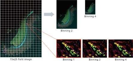 Optimizing cell imaging processes with CellPathfinder
