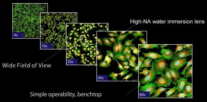 CellVoyager CQ3000: Fast, high-resolution 3D imaging for cell culture