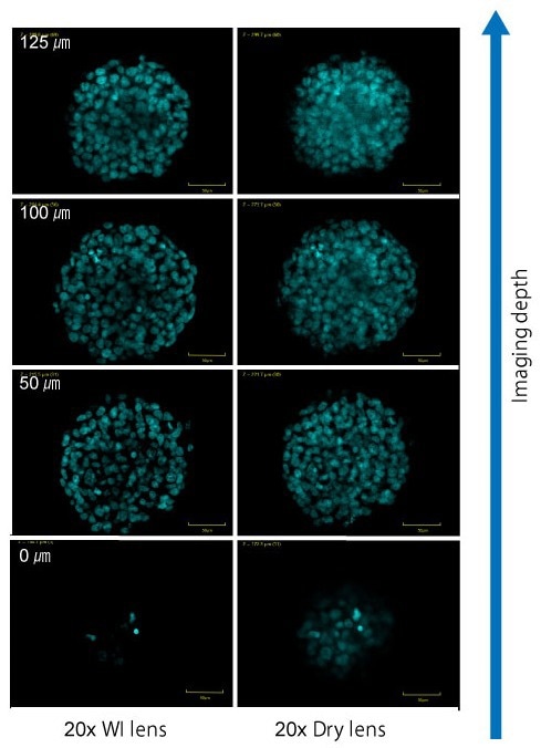 CellVoyager CQ3000: Fast, high-resolution 3D imaging for cell culture
