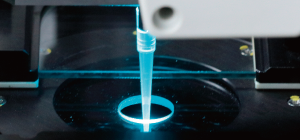 CellVoyager CV8000: For cell-based assay screening