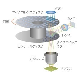 CellVoyager CV8000: For cell-based assay screening