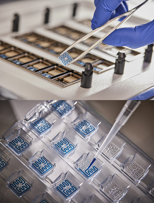 Enhance biologic drug stability testing with TA Instruments’ RS-DSC