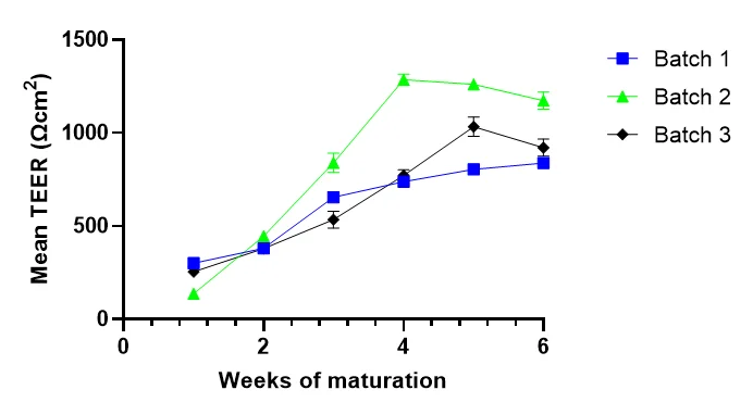 TEER measurements were carried out starting 7 days after seeding on the inserts. RPE reach maturation 4-6 weeks post-isolation when TEER starts to plateau