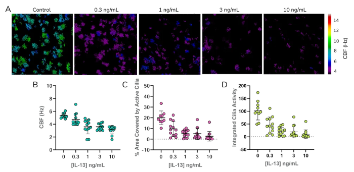Validation of COPD-like conditions is demonstrated by changes in percentage area covered by active cilia and ciliary beat frequency due to IL-13 treatment of SAEC cultures is demonstrated through the (A) heatmaps and (B) ciliary beat frequency (C) Percentage area covered by active cilia and (D) Integrated Cilia activity with changing IL-13 concentrations generated using CiliaBeat software