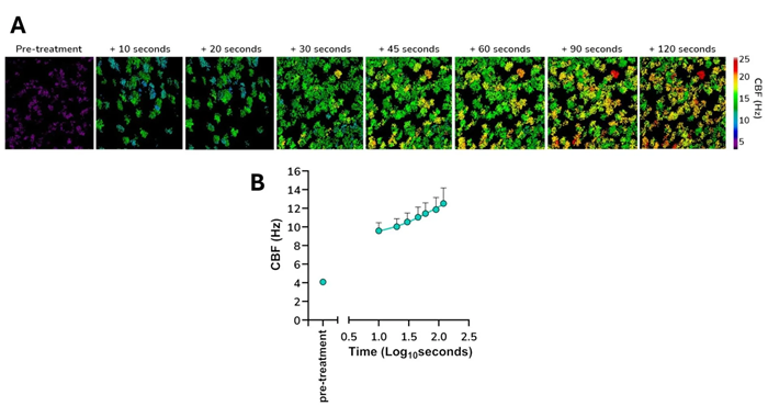 (A) Heatmaps showing increase in active cilia and ciliary beat frequency with time (B) Increase in average ciliary beat frequency post-treatment with ATP