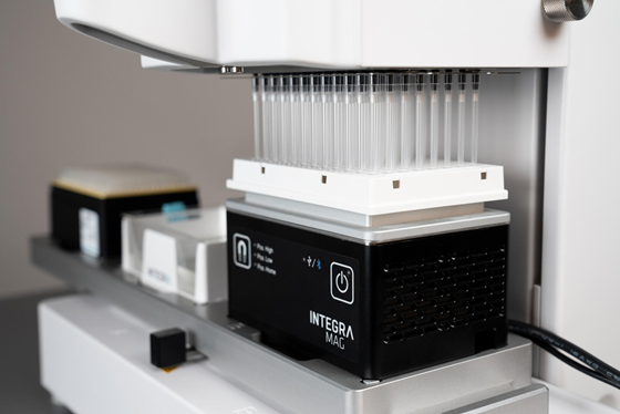 Streamlining magnetic bead purification with the MAG and HEATMAG