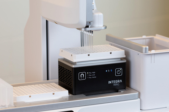 Streamlining magnetic bead purification with the MAG and HEATMAG