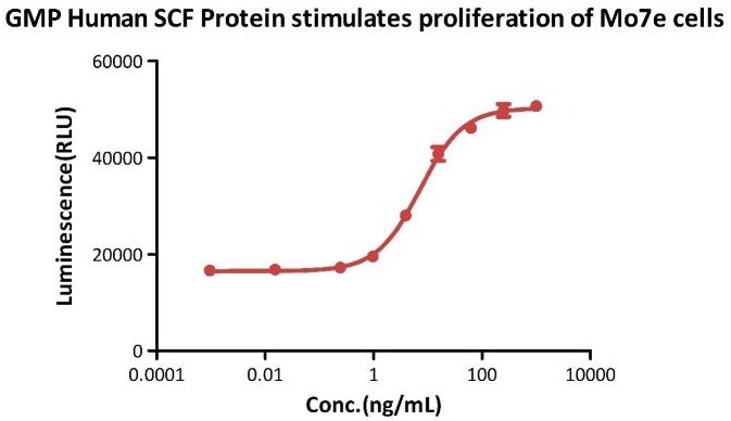 GMP compliant SCF protein