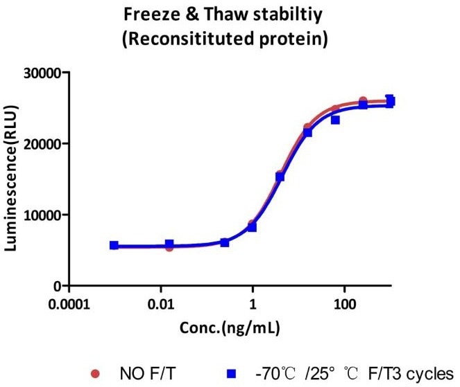 GMP compliant SCF protein