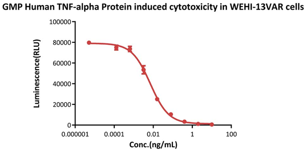 GMP compliant TNF-alpha proteins