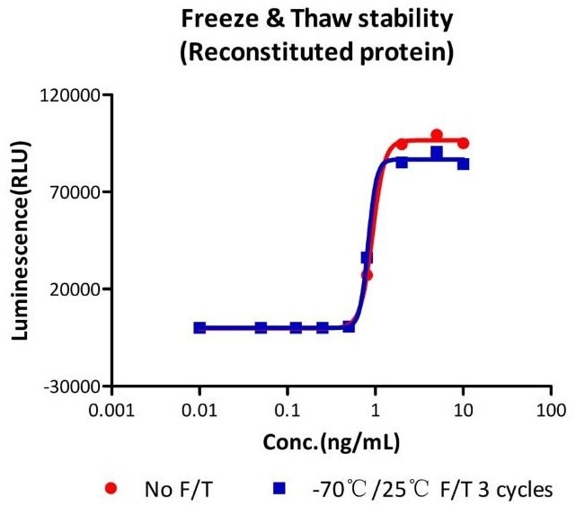 Human IL-15 protein with GMP certification
