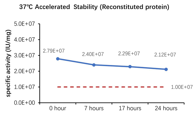 High-quality GMP human IL-12 protein