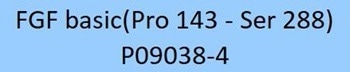 GMP-grade human FGF basic protein