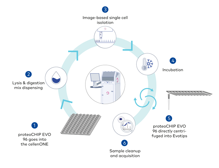 proteoCHIP product line - High-throughput proteomics sample preparation