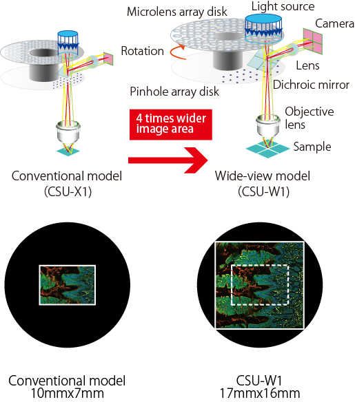 CSU-W1: Confocal Scanner