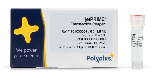 Boost DNA and siRNA transfection efficiency with jetPRIME® technology