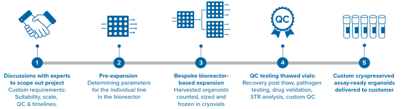 3D Organoid Expansion Service