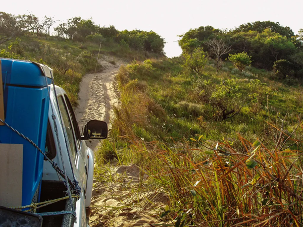 TCW120AC vaccine refrigerator and ice-pack freezer for secure storage