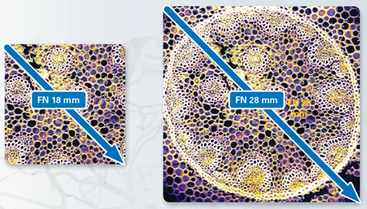 Field of view on Ultima 2Pplus is FN 28 mm in comparison to industry standard of FN 18 mm