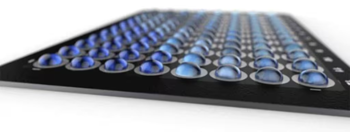 Sample holder illustration. Sample plate with 5 microliter drops of sample on each space.