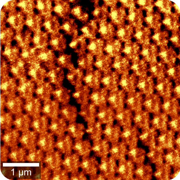 What makes the WITec360 Raman microscope the benchmark for correlative microscopy?