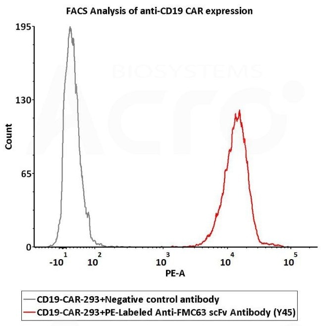 ACROBiosystem's PE-Labeled Monoclonal Anti-FMC63 Antibody, Mouse IgG1 (Y45) (Site-specific conjugation) (Preservative free)
