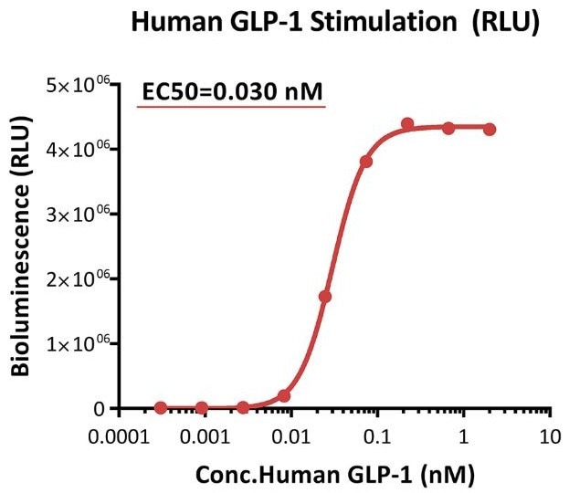 Response to human GLP-1 (RLU).</i><i> This reporter cell was stimulated with serial dilutions of human GLP-1. The EC50 was approximately 0.030 nM