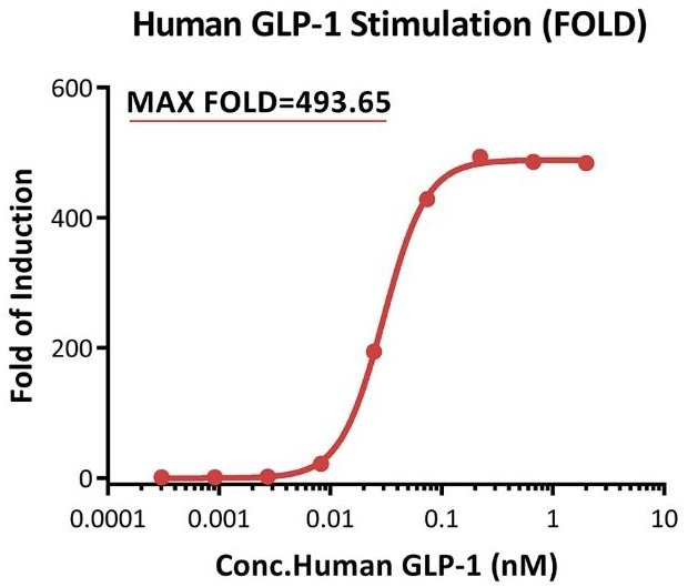 Response to human GLP-1 (FOLD). </i><i>This reporter cell was stimulated with serial dilutions of human GLP-1. The max induction fold was approximately 493.65