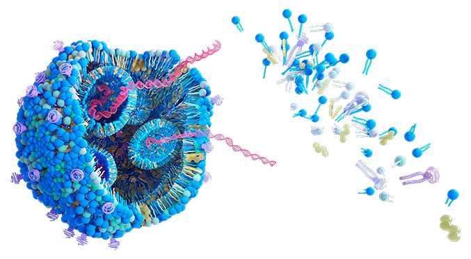 How to solve the hidden bottleneck in lipid nanoparticle development