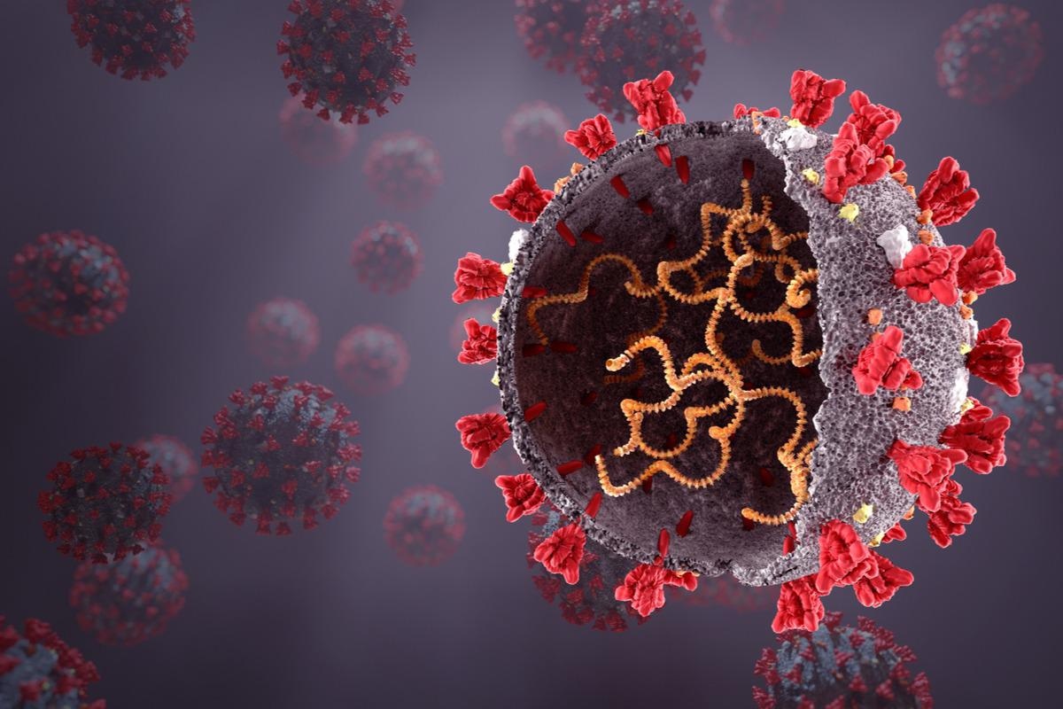 Study: Inexpensive and colorimetric RNA detection by E. coli cell-free protein synthesis platform at room temperature. Image Credit: Orpheus FX/Shutterstock