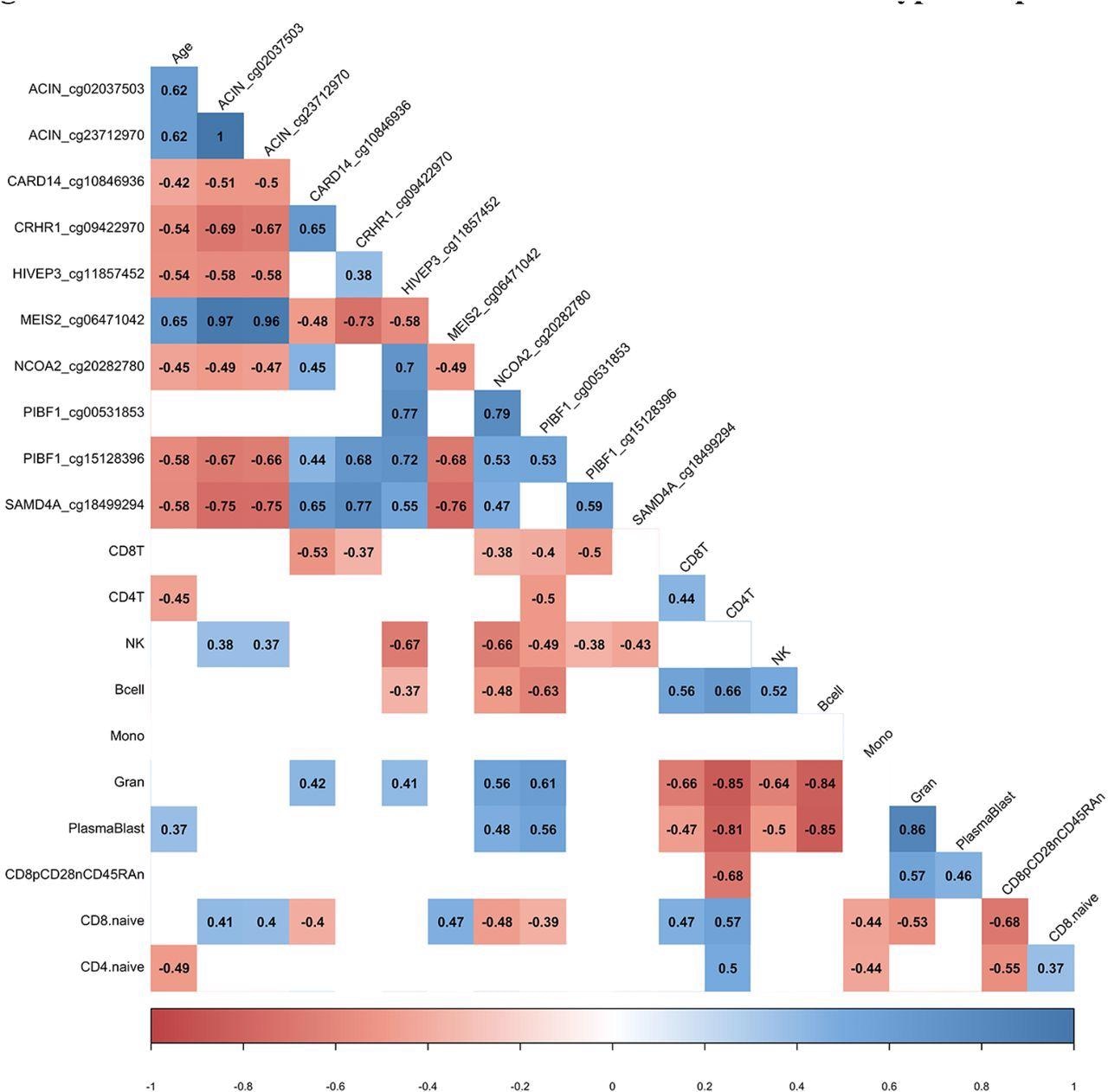 DML associated with COVID-19 relate to immune cell type composition. Correlogram plot of biological age, the change in DNA methylation levels for COVID-19 related DML, and the change in inferred immune cell type following COVID-19. Significant correlations displayed as solid box and Spearman’s rank correlation coefficient displayed.