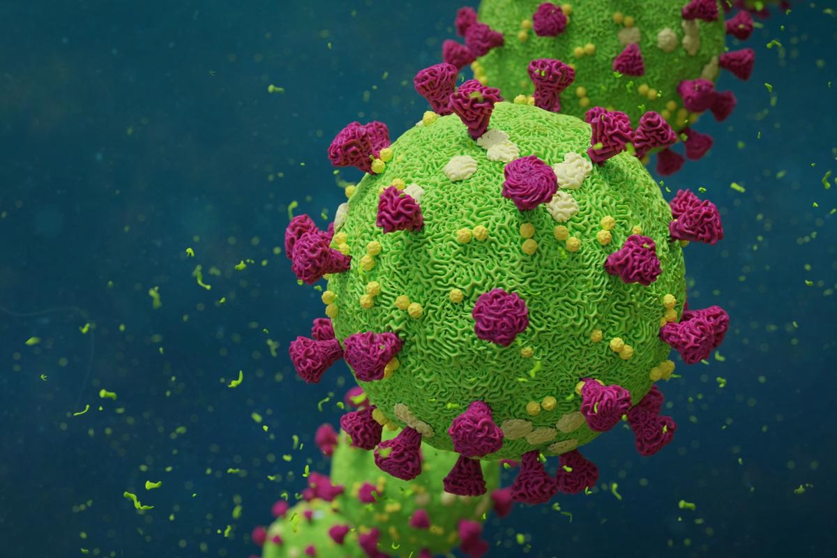 Study: Identifying SARS-CoV-2 regional introductions and transmission clusters in real time. Image Credit: Dotted Yeti/Shutterstock