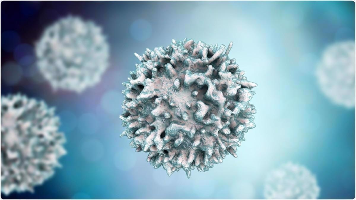 Study: Vaccines Elicit Highly Conserved Cellular Immunity to SARS-CoV-2 Omicron. Image Credit: Kateryna Kon / Shutterstock