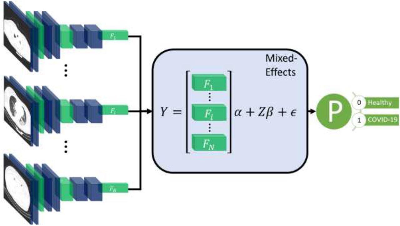 Diagram of the overall framework. Twenty slices are chosen from a CT volume. Each slice is fed into a CNN with shared weights, which outputs a feature vector of length 2048 for each image. The feature vectors form a 20-by-2048 fixed effects matrix, X, for the GMM model with a random-effects matrix, Z, consisting of an identity matrix. A mixed-effects model is used to model the relationship between slices. Finally, a fully connected layer and sigmoid activation return a probability of the diagnosis.