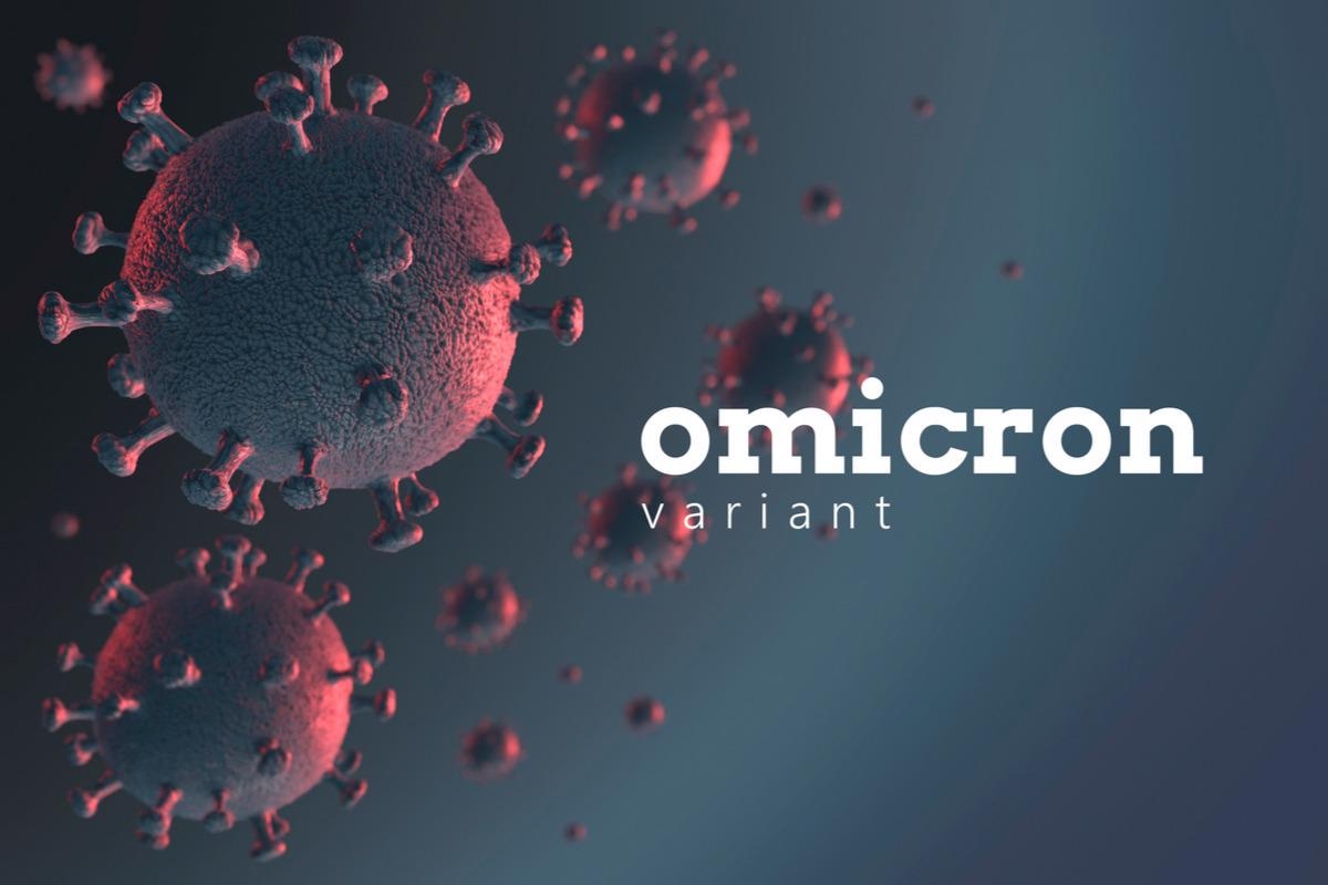 Study: Using Survey Data to Estimate the Impact of the Omicron Variant on Vaccine Efficacy against COVID-19 Infection. Image Credit: anushkaniroshan/Shutterstock