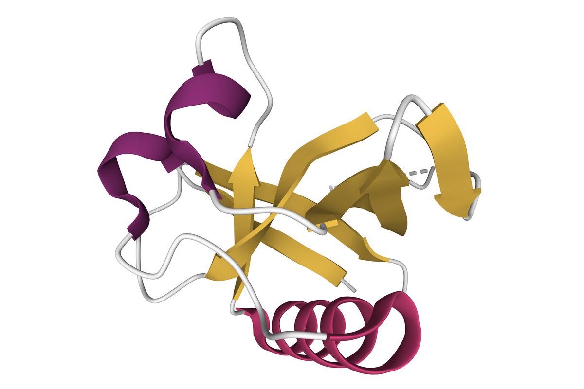 Study: Synergistic Interactions of Repurposed Drugs that Inhibit Nsp1, a Major Virulence Factor for COVID-19. Image Credit: Volodymyr Dvornyk/Shutterstock