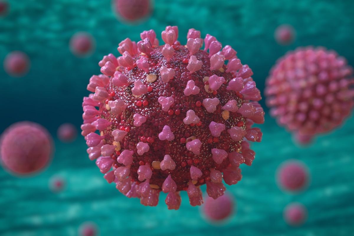 Study: Immunological memory to Common Cold Coronaviruses assessed longitudinally over a three-year period. Image Credit: Dotted Yeti/Shutterstock