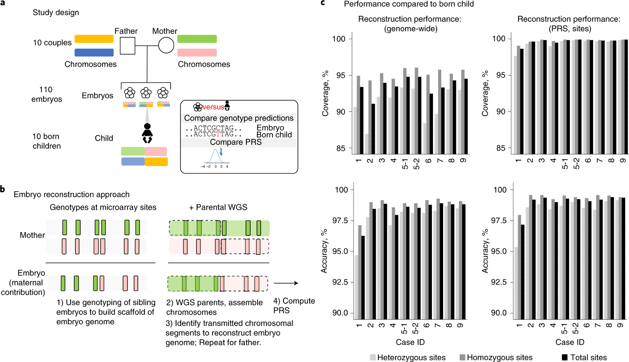 a, This research study involved reconstruction of 110 embryo genomes from 10 couples and comparison to the genome sequence of the born child. Twelve PRS models were computed from the born-child samples and the 10 corresponding reconstructed embryos and compared for concordance. b, WGR involves whole-genome sequencing (WGS) of prospective parents and single-nucleotide polymorphism (SNP) microarray genotyping of sibling embryos. Allele measurements at each SNP are color-coded based on the parental haplotype of origin illustrated in a. A combination of molecular and statistical/population-based techniques phase the parents’ chromosomes infer the locations of meiotic recombination for each embryo and correct errors introduced in the process of testing single-cell or few-cell embryo biopsies. Reconstructed embryo whole genomes are used to predict common disease risk by calculating PRSs and inferring the inheritance of rare variants with high impact on disease risk. c, Performance by comparing genotypes from WGR with the born child’s DNA shows genotype accuracies ranging from 99.0% to 99.4% at sites used in polygenic prediction in day-5 embryos and 97.2% to 99.1% in day-3 embryos. Case 1 includes only day-3 embryos, and case 2 includes both day-3 and day-5 embryos. All other cases included day-5 embryos only. Statistics are subdivided by genotype (heterozygous or homozygous) in the born child.