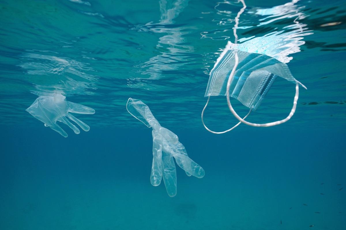 Study: Prevalence of Covid-19 personal protective equipment in aquatic systems and impact on associated fauna. Image Credit: Damsea/Shutterstock