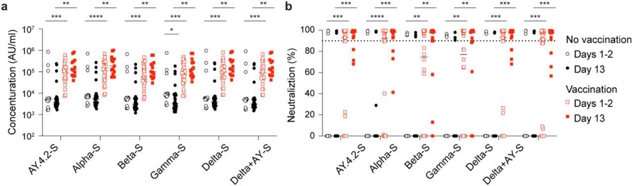 Antibody response of Omicron patients. ​​​​​​​a, Plasma IgG antibody binding the SARS-CoV-2 RBD (spike) from different strains in the no vaccinated and vaccinated Omicron patients. b, Neutralizing antibody response to virus spike protein of SARS-CoV-2 variants. p-value between two groups is from one-tailed Wilcoxon rank t-test. *p < 0.05, **p < 0.01, ***p < 0, ****P < 0.0001. Line at median.